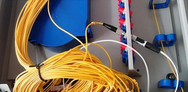 怕要失眠了惹谁都可以偏偏惹了罗永浩！PG麻将胡了2模拟器中国